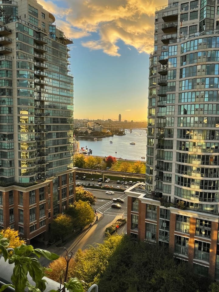 Mountain + Ocean View Apartment Near Bc Stadium - Vancouver