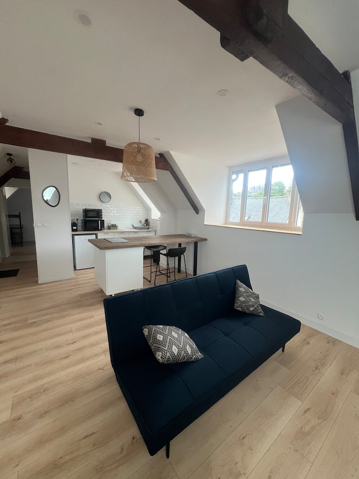 Appartement Hypercentre Lannion - Trébeurden