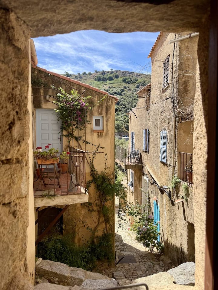 Maison De Village à Pigna - 科西