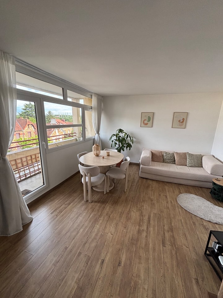 Charmant T3 Avec Balcon En Centre-ville - Massy