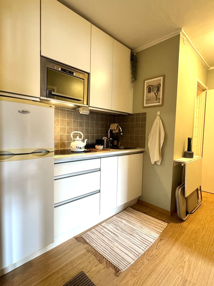 Mysig Studio Centralt I Uppsala - 烏普薩拉