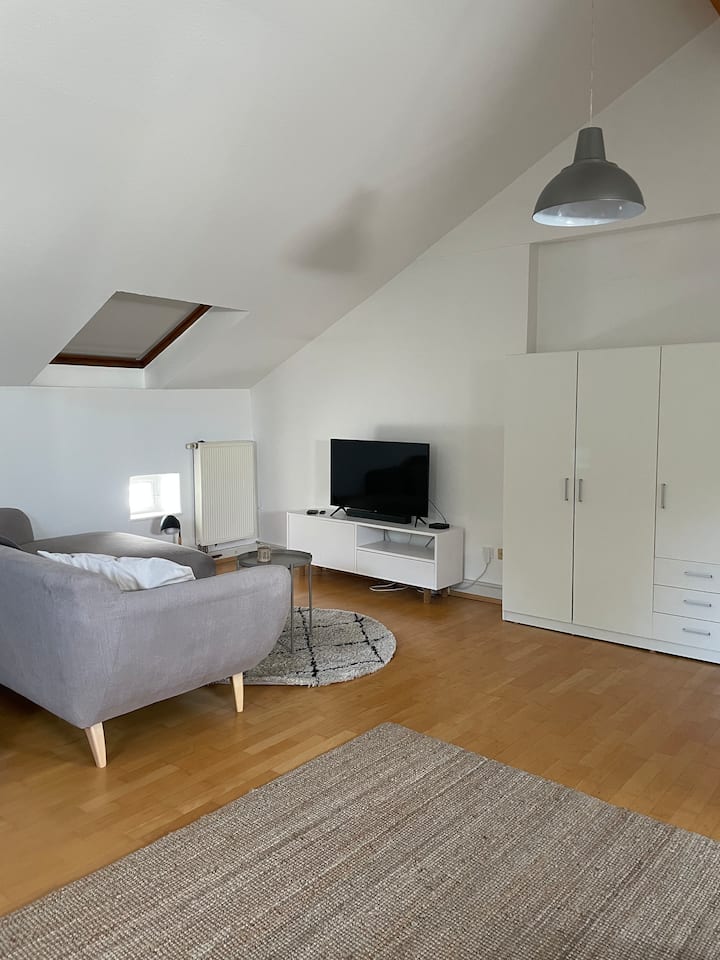 Helles Loftappartement - Bonn