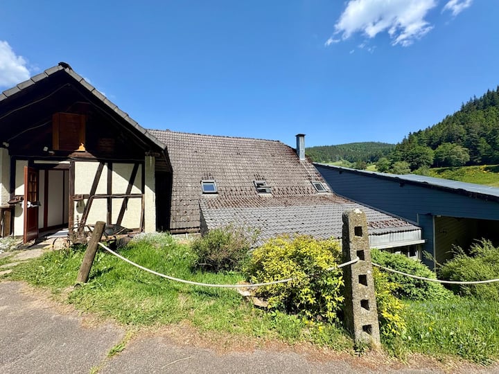 Grande Maison Avec Jardin Et Terrasse à Lapoutroie - Lapoutroie