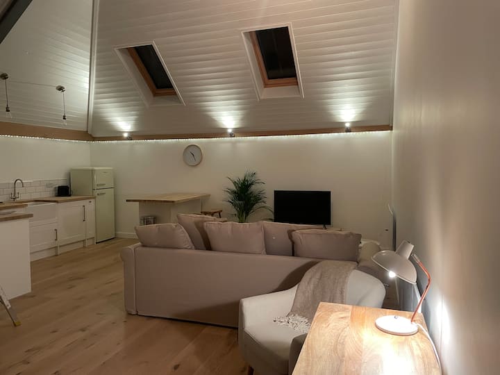 Swifts Relaxing Apartment - 法弗舍姆