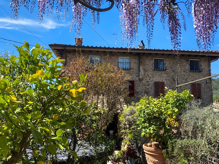 La Corte Dei Limoni - Countryside - 卡馬伊奧雷
