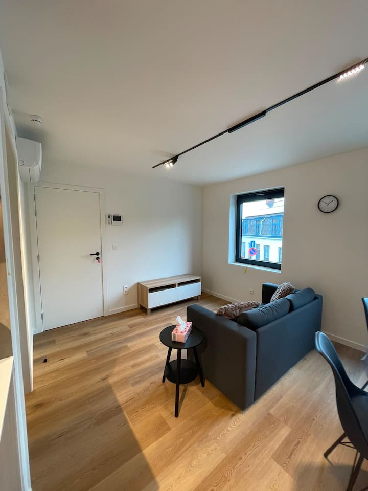Cozy Two Person Apartment - Lokeren