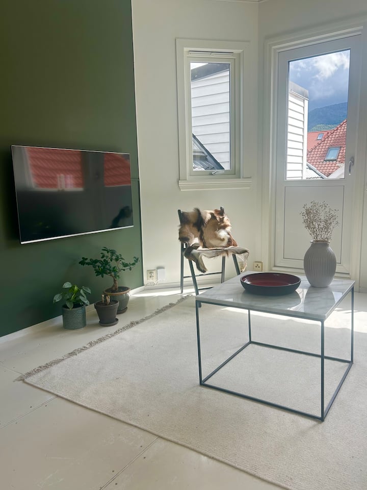 Charming Loft Apartment With Mountain Views - Bergen