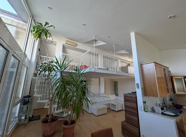 Stilvolle Penthouse-maisonette & Xxl Dachterrasse - Rastatt