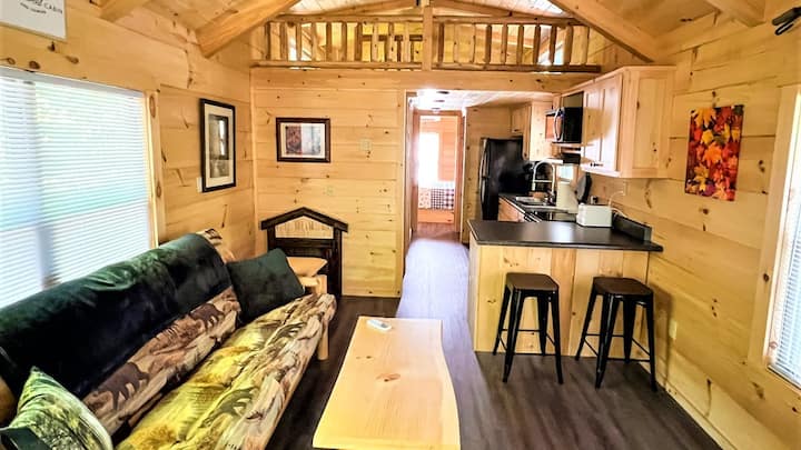 Nature Cabin - Blacksburg, SC
