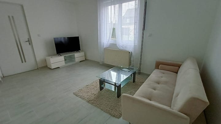Duplex Chaleureux Avec Terrasse Près De Strasbourg - Bischwiller
