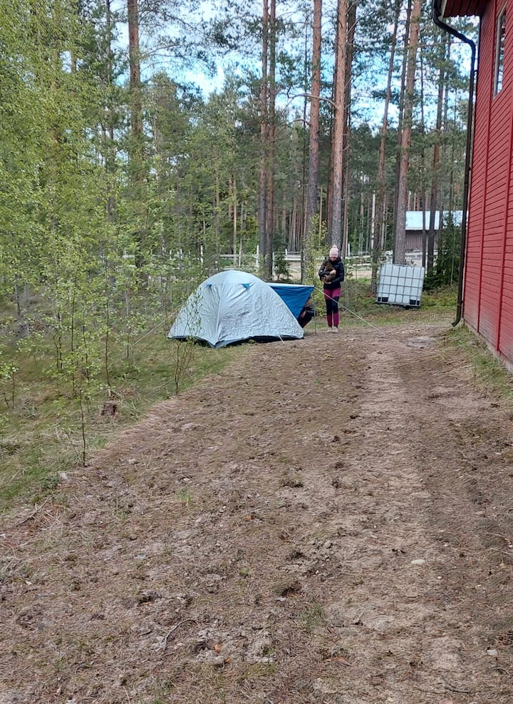 Telttapaikkoja Tarjolla, Kylpyhuone/wc Käytössä. - Kalajoki