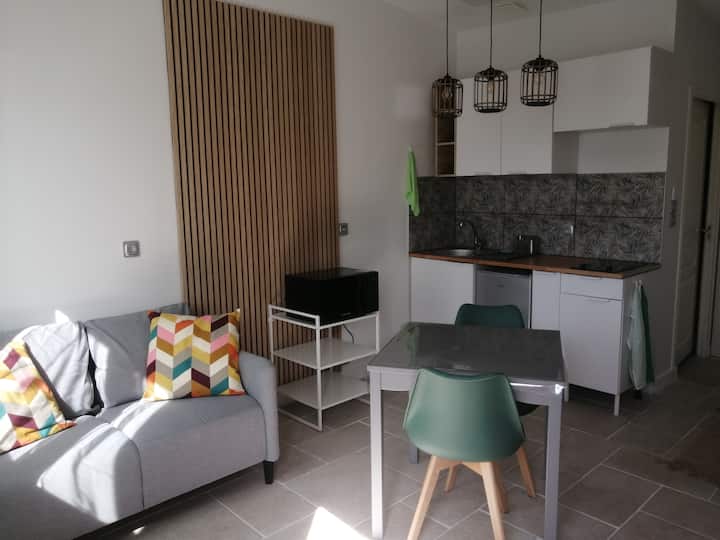 Studio Proche Du Tram Avec Terrasse - Pessac