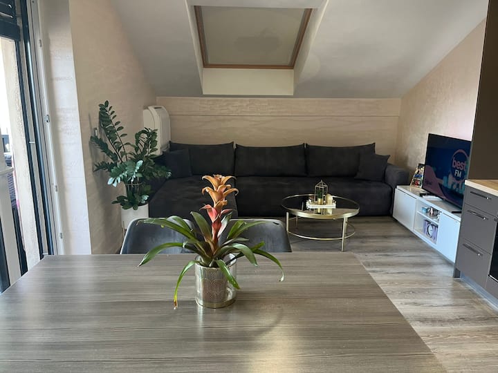 Lux Villa Moste Apt6 With Balcony + Pool, Ev - Ljubljana