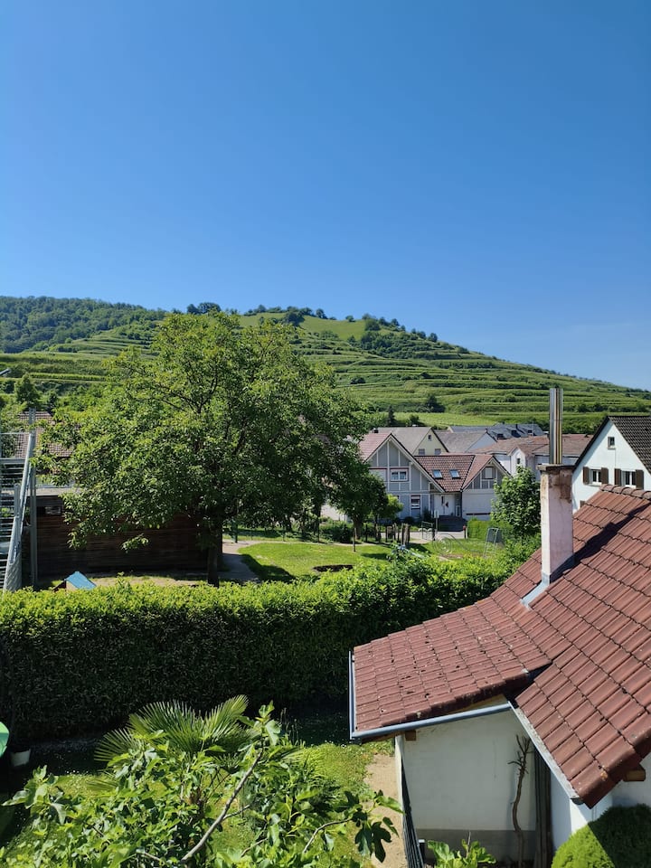 4 Ferienwohnung Winzerhof Von Weinbergen Umgeben - Breisach am Rhein
