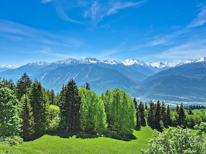 Clairière Des Barzettes A16 By Interhome - Crans-Montana