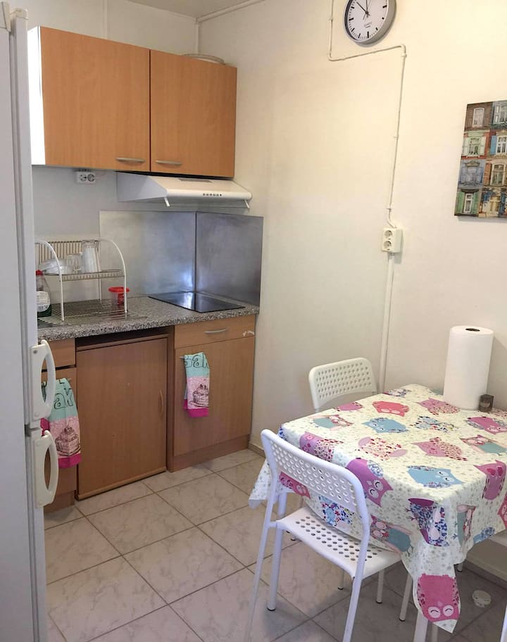 A Nice Room Near Downtown Reykjavík. - Greenland