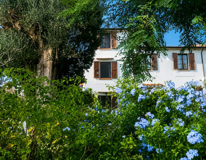 Casa Doris