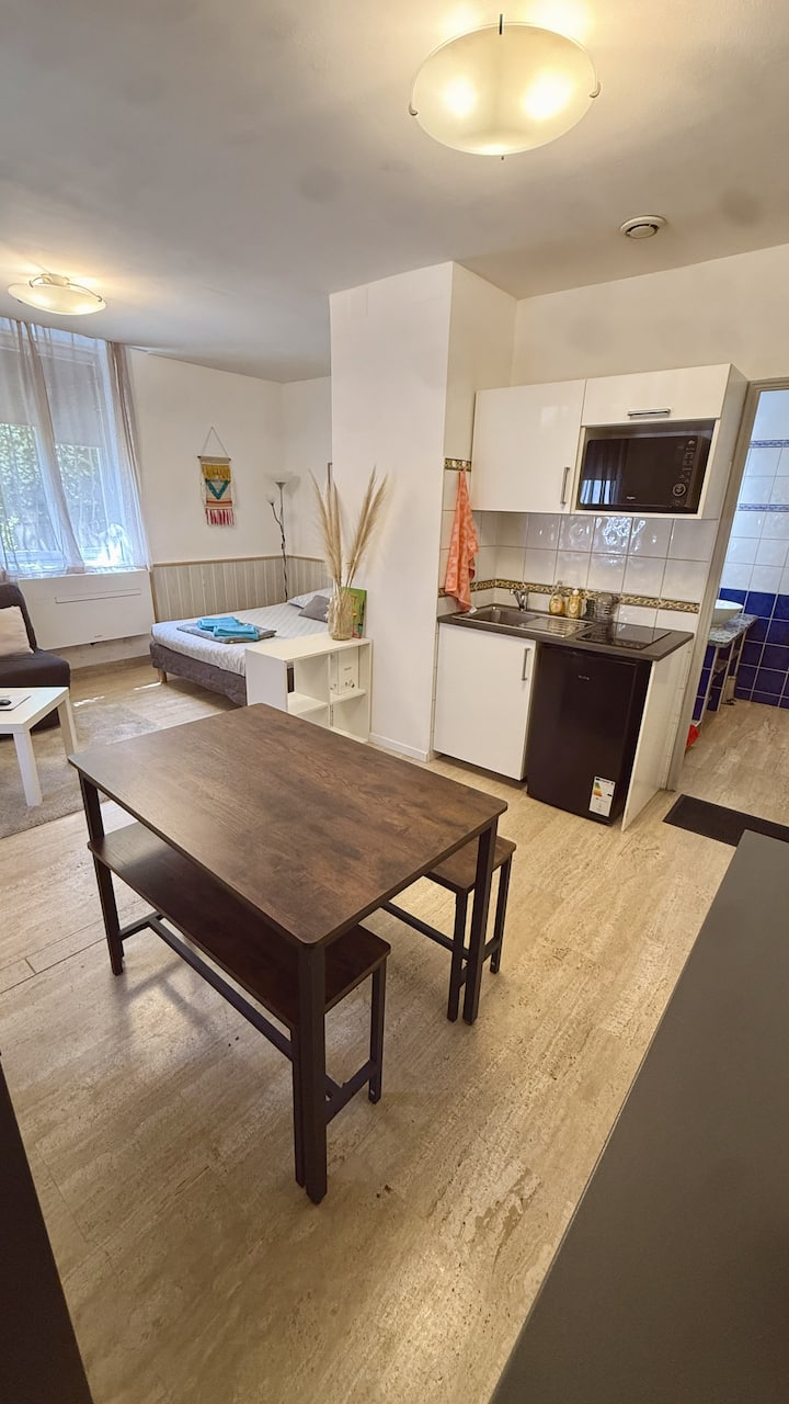 Studio Intra-muros - Flat In Avignon City Center - Avignon