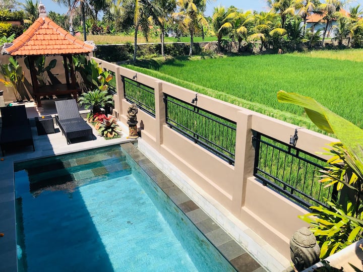 New Villa Luxury2br Private Pool In Ricefield Area - インドネシア