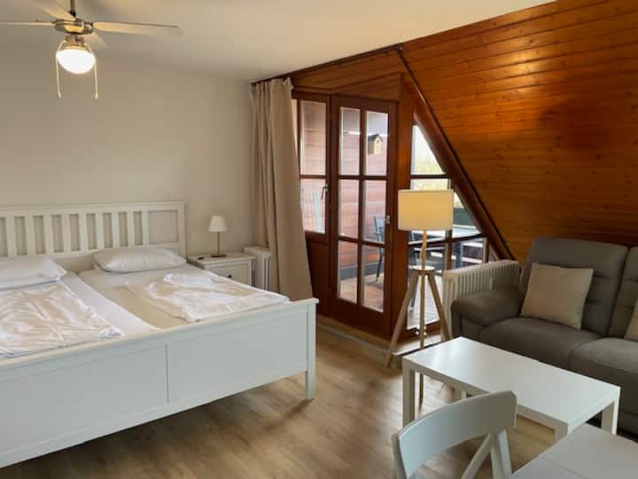 1-room Apartment 60 With Balcony - Friburgo de Brisgovia