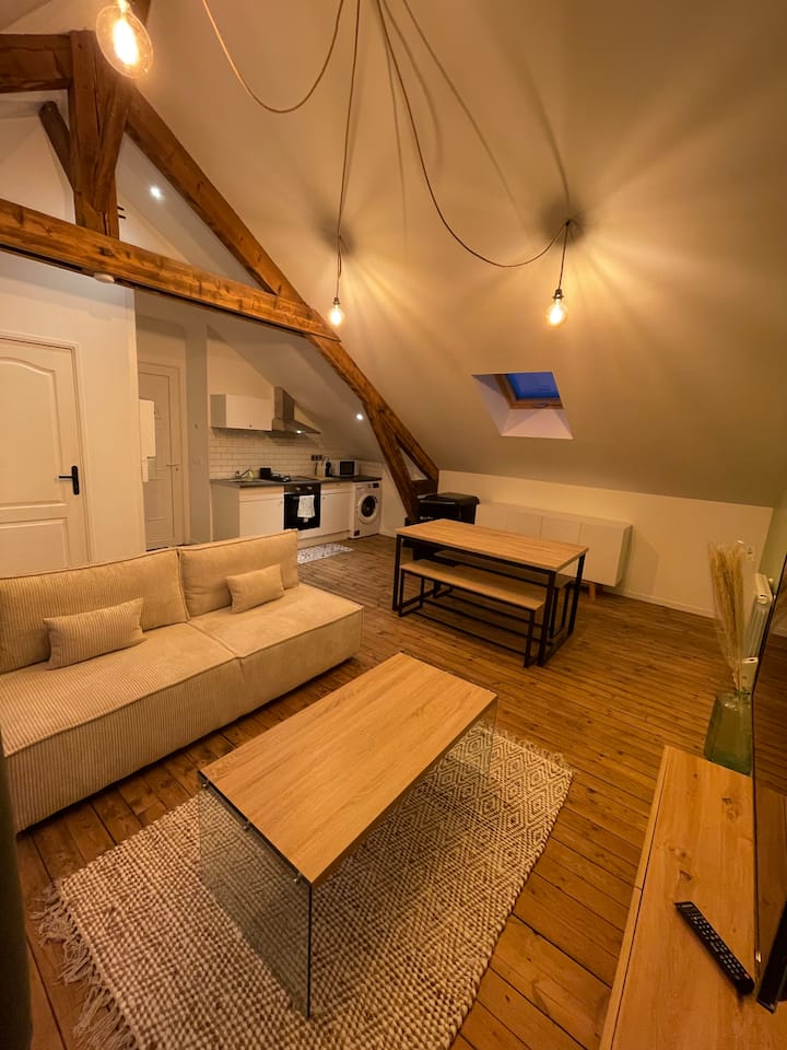 Appartement Cosy Avec Terrasse Ensoleillée - Périgueux