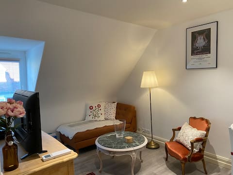 Popular Airbnb listing: Florentine's Home Alsatian cozy haven with garden in Koenigshoffen