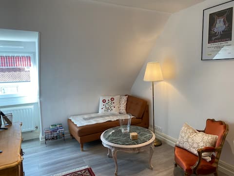 Annonce Airbnb populaire: Florentine's Home Alsatian cozy haven with garden à Koenigshoffen