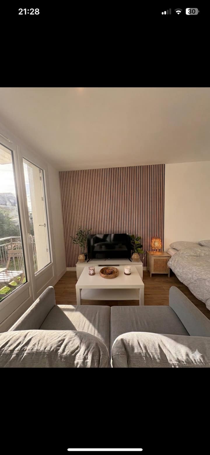 Charmant Studio Cosy Et Tout Confort ! - Fondettes