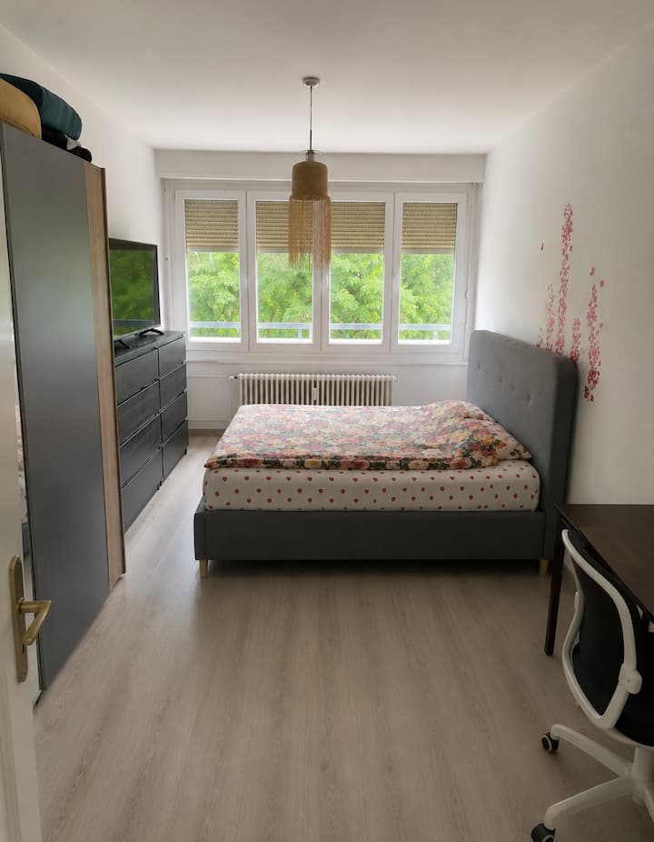 Jolie Appartement Salève - Geneva Cointrin Airport (GVA)