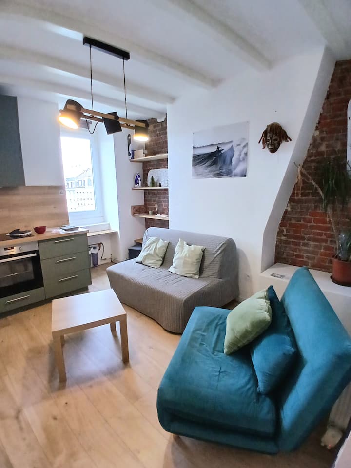 Duplex 2 Chambres, 6 Pers, Lille Centre - Lille