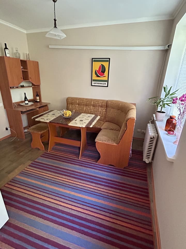 Borodino Apartment - Tiraspol