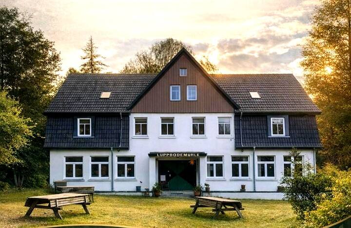 Luppbodemühle Allrode

Ferienwohnung Tyr - Thale