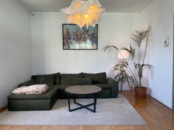 Spacious Apartment In The Heart Of Munich - Munich