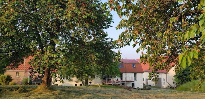 Gut Belgerhof Steinbach - Reinsberg