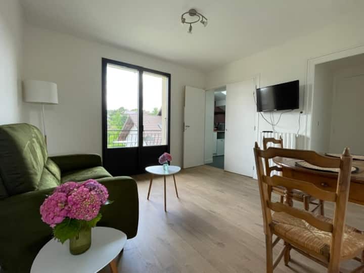 Charmant T2 Meublé De 34m² à Aix Les Bains - Aix-les-Bains