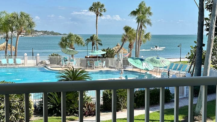 Ocean Panorama | 2 Units W/ Balcony Near Hotspots - St. Petersburg, FL