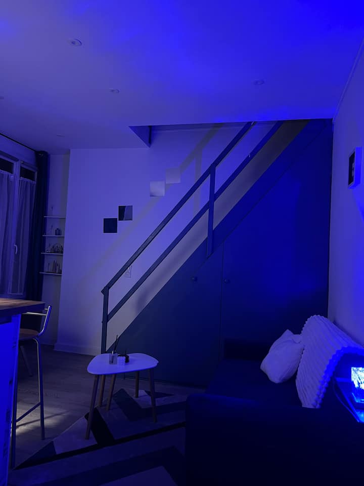 Duplex Cozy Au Portes De Paris - Drancy - Drancy