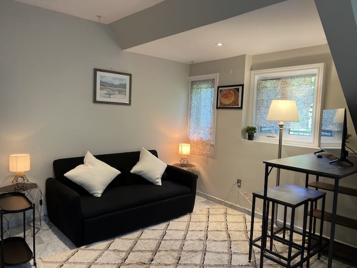 Cozy 1br Annex Heart Of Downtown W/ Large Patio - Toronto