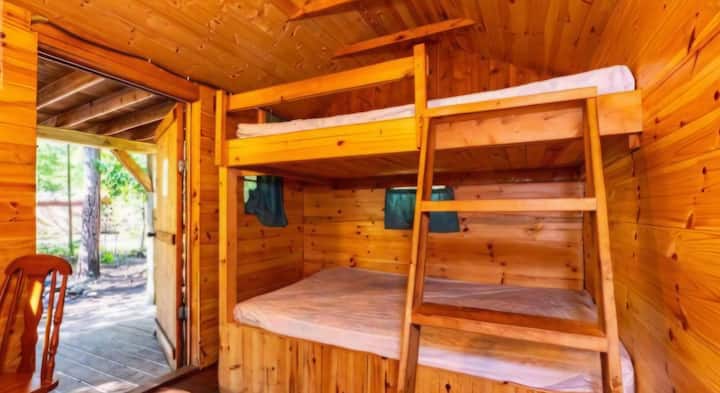 Forest Veiw Cabin In Tobermory C 1 - Tobermory