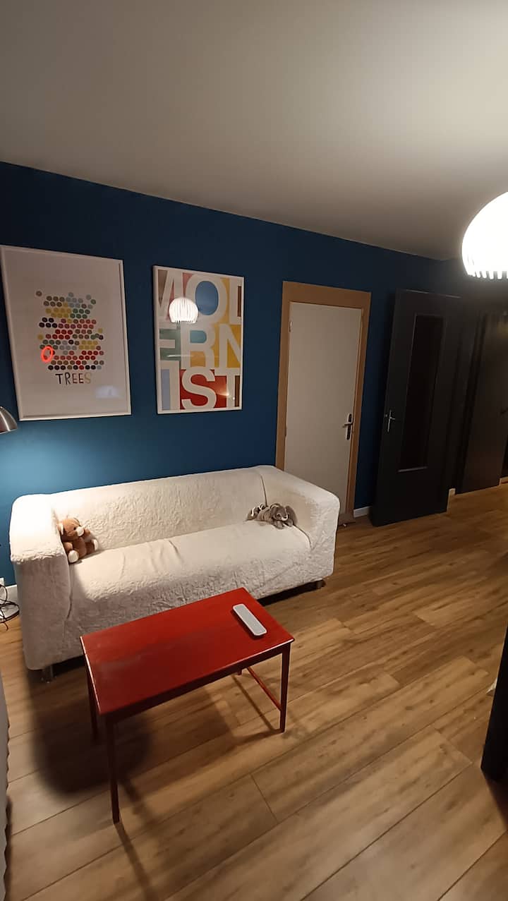Piscine, Jardin, Fibre & Netflix Au Cœur D'alsace - Riquewihr