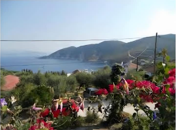 Afales Villa Studios - Kolieri - 2 - Fiskardo