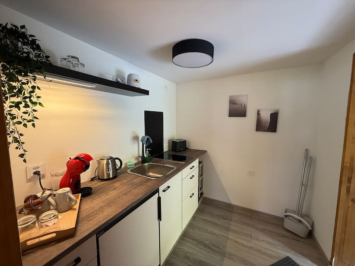 Neu Renoviertes Studio Mit Bergblick - Zweisimmen