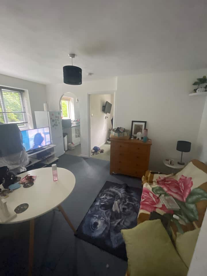 1 Bedroom Flat - Enfield
