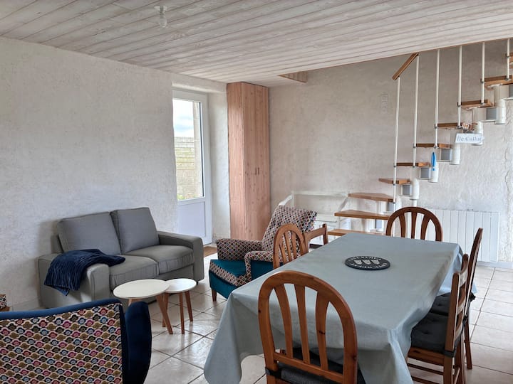Le Petit Nid De Keroulaouen - Maison - Roscoff