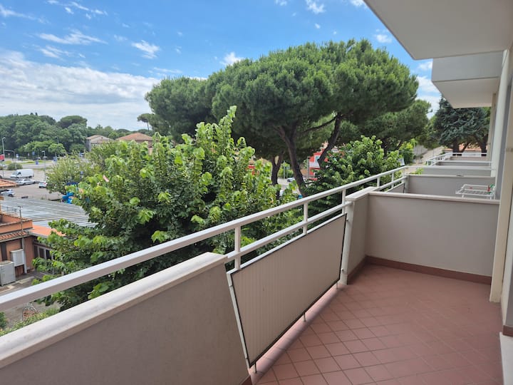 Green Sea Room - Cattolica