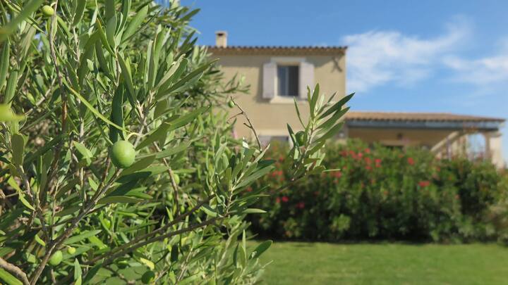 Studio à Cabrières-d'avignon - Gordes