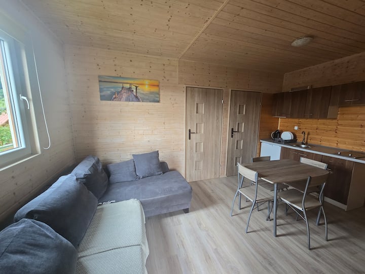 Domek Premium Nad Jeziorem 5-osobowy 665_795_357 - Solina