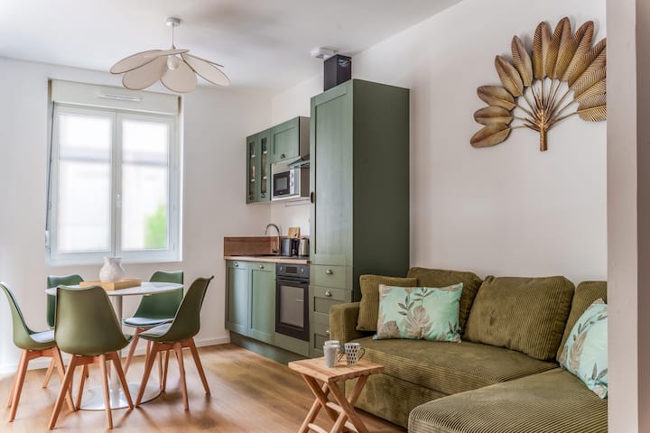 Maison De Ville + Parking Et Clim 5 Min Bretonneau - Tours