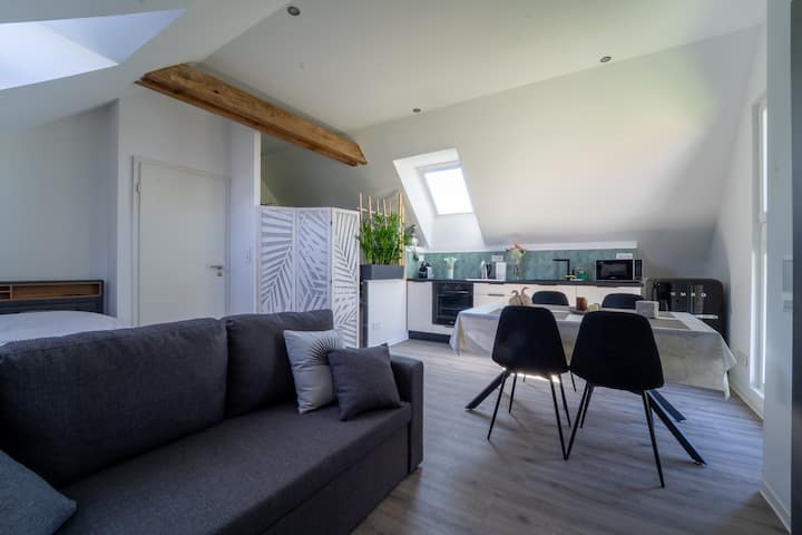 Appartement Tout Confort Aux Portes D'europa-park - Marckolsheim