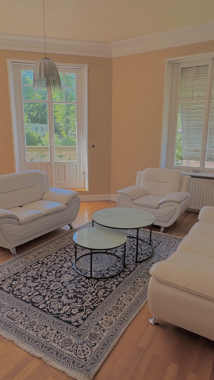 Demeure D’exception En Plein Cœur De Mulhouse - Mulhouse